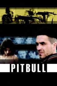 Pitbull – Cały serial – Online – Gdzie obejrzeć?