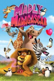 Zakochany Madagaskar – Cały film – Online – Gdzie obejrzeć?