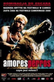 Amores perros – Cały film – Online – Gdzie obejrzeć?