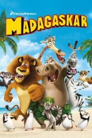 Madagaskar – Cały film – Online – Gdzie obejrzeć?