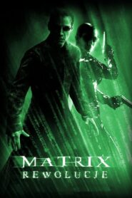 Matrix Rewolucje – Cały film – Online – Gdzie obejrzeć?