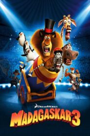 Madagaskar 3 – Cały film – Online – Gdzie obejrzeć?