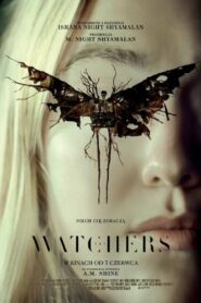 The Watchers – Cały film – Online – Gdzie obejrzeć?