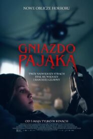 Gniazdo pająka – Cały film – Online – Gdzie obejrzeć?