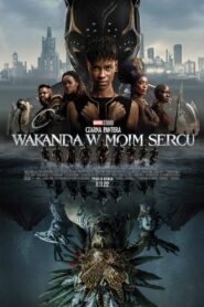 Czarna Pantera: Wakanda w moim sercu – Cały film – Online – Gdzie obejrzeć?