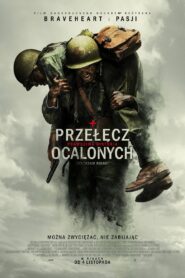 Przełęcz ocalonych – Cały film – Online – Gdzie obejrzeć?