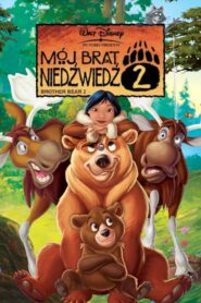 Mój brat niedźwiedź 2 – Cały film – Online – Gdzie obejrzeć?