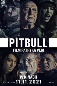 Pitbull – Cały film – Online – Gdzie obejrzeć?