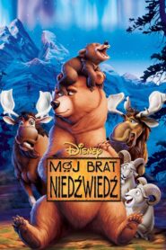 Mój brat niedźwiedź – Cały film – Online – Gdzie obejrzeć?