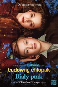 Cudowny chłopak. Biały ptak – Cały film – Online – Gdzie obejrzeć?